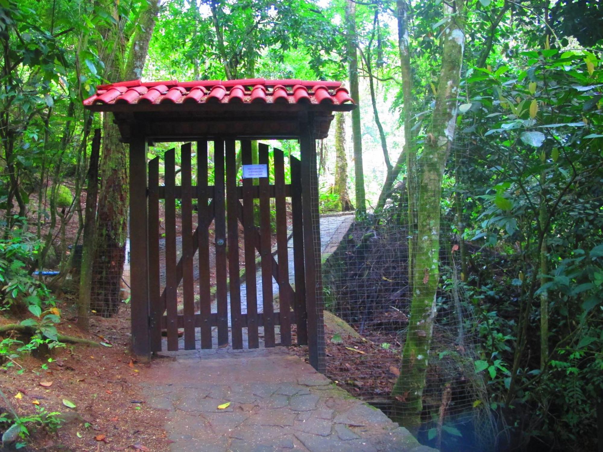 Bangalo Na Acqua Jungle Lodge Abraão Eksteriør bilde